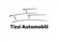 Logo Tizzi Automobili Srl